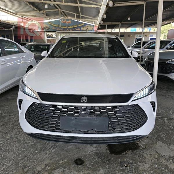 BYD Qin Plus 2025 for sale in Iraq - Baghdad